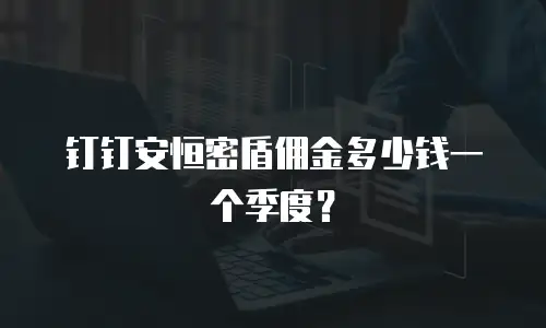 钉钉安恒密盾佣金多少钱一个季度？