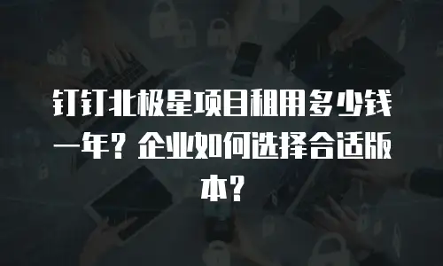 钉钉北极星项目租用多少钱一年？企业如何选择合适版本？