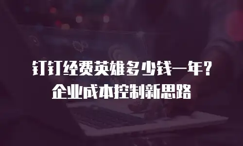 钉钉经费英雄多少钱一年？企业成本控制新思路