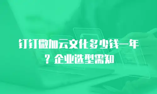 钉钉微加云文化多少钱一年？企业选型需知