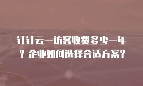 钉钉云一访客收费多少一年？企业如何选择合适方案？