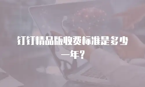 钉钉精品版收费标准是多少一年？
