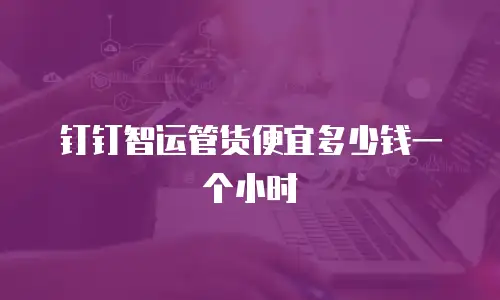 钉钉智运管货便宜多少钱一个小时