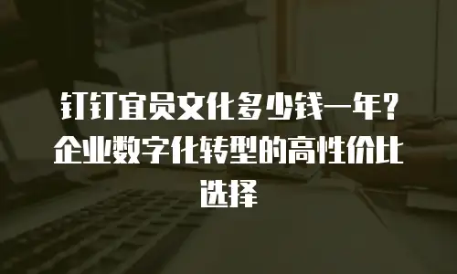 钉钉宜员文化多少钱一年？企业数字化转型的高性价比选择