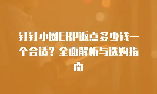 钉钉小圈ERP返点多少钱一个合适？全面解析与选购指南