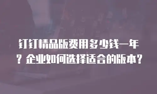 钉钉精品版费用多少钱一年？企业如何选择适合的版本？