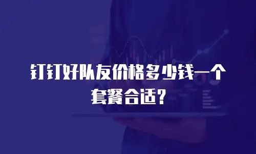 钉钉好队友价格多少钱一个套餐合适？