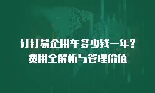 钉钉易企用车多少钱一年？费用全解析与管理价值