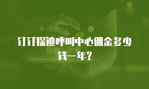 钉钉探迹呼叫中心佣金多少钱一年？