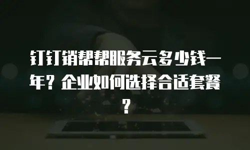 钉钉销帮帮服务云多少钱一年？企业如何选择合适套餐？
