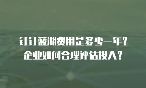 钉钉蓝湖费用是多少一年？企业如何合理评估投入？