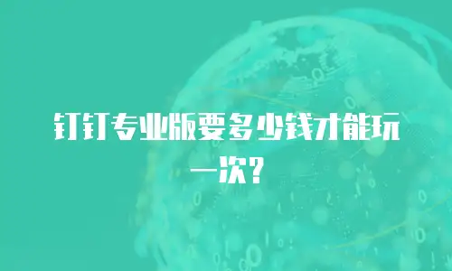 钉钉专业版要多少钱才能玩一次？