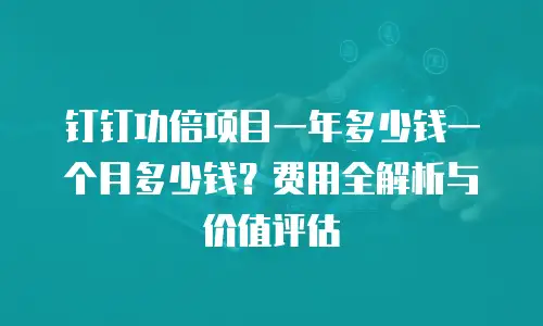 钉钉功倍项目一年多少钱一个月多少钱？费用全解析与价值评估