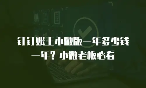 钉钉账王小微版一年多少钱一年？小微老板必看