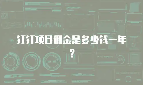 钉钉项目佣金是多少钱一年？