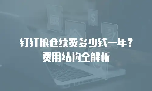 钉钉粮仓续费多少钱一年？费用结构全解析