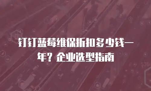 钉钉蓝莓维保折扣多少钱一年？企业选型指南