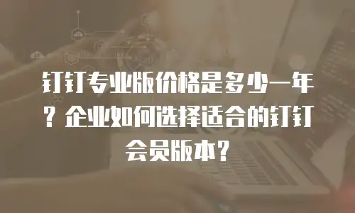 钉钉专业版价格是多少一年？企业如何选择适合的钉钉会员版本？