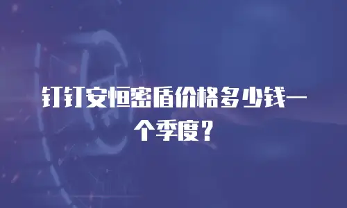 钉钉安恒密盾价格多少钱一个季度？