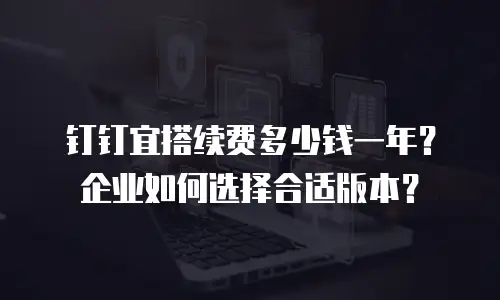 钉钉宜搭续费多少钱一年？企业如何选择合适版本？