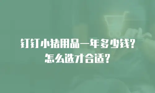 钉钉小猪用品一年多少钱？怎么选才合适？