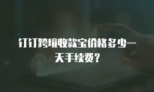 钉钉跨境收款宝价格多少一天手续费？