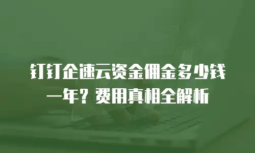 钉钉企速云资金佣金多少钱一年？费用真相全解析