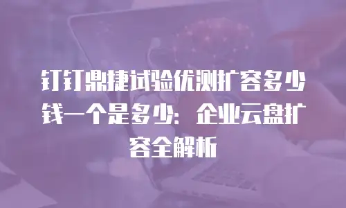 钉钉鼎捷试验优测扩容多少钱一个是多少：企业云盘扩容全解析