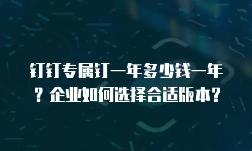 钉钉专属钉一年多少钱一年？企业如何选择合适版本？