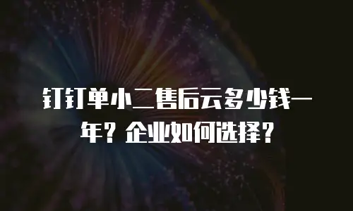 钉钉单小二售后云多少钱一年？企业如何选择？