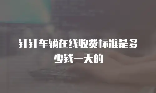 钉钉车辆在线收费标准是多少钱一天的