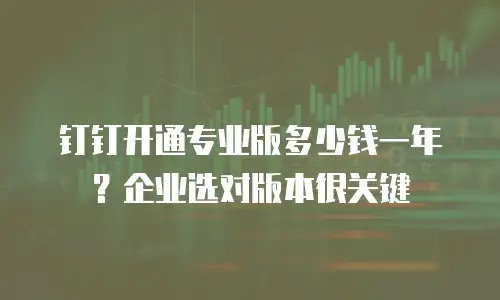 钉钉开通专业版多少钱一年？企业选对版本很关键