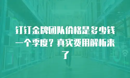 钉钉金牌团队价格是多少钱一个季度？真实费用解析来了