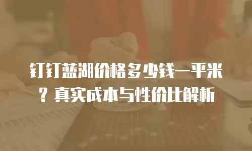 钉钉蓝湖价格多少钱一平米？真实成本与性价比解析