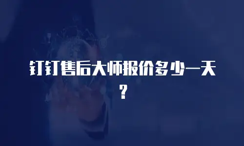 钉钉售后大师报价多少一天？