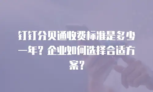 钉钉分贝通收费标准是多少一年？企业如何选择合适方案？