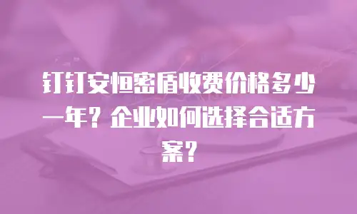 钉钉安恒密盾收费价格多少一年？企业如何选择合适方案？