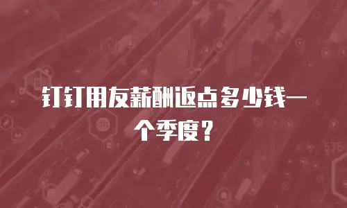 钉钉用友薪酬返点多少钱一个季度？