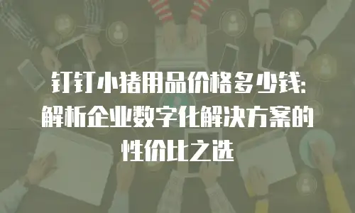 钉钉小猪用品价格多少钱：解析企业数字化解决方案的性价比之选