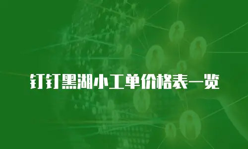 钉钉黑湖小工单价格表一览