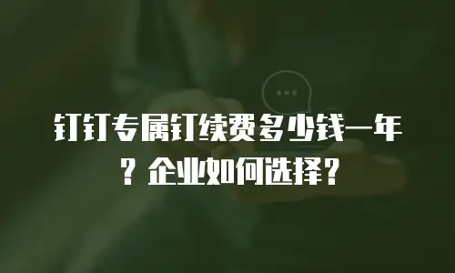 钉钉专属钉续费多少钱一年？企业如何选择？