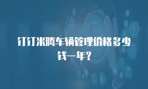 钉钉米腾车辆管理价格多少钱一年？