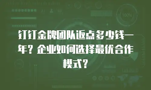 钉钉金牌团队返点多少钱一年？企业如何选择最优合作模式？