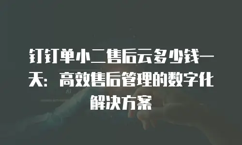 钉钉单小二售后云多少钱一天：高效售后管理的数字化解决方案