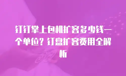 钉钉掌上包机扩容多少钱一个单位？钉盘扩容费用全解析
