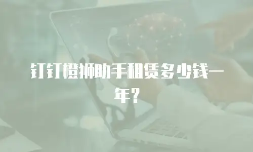 钉钉橙狮助手租赁多少钱一年？