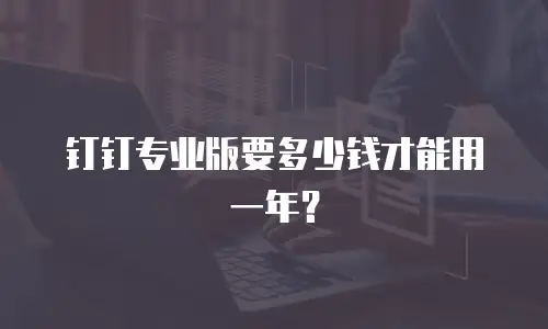 钉钉专业版要多少钱才能用一年？