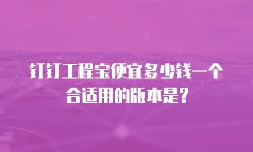 钉钉工程宝便宜多少钱一个合适用的版本是？