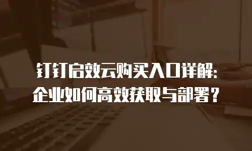 钉钉启效云购买入口详解：企业如何高效获取与部署？