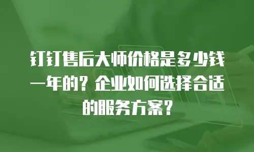 钉钉售后大师价格是多少钱一年的？企业如何选择合适的服务方案？